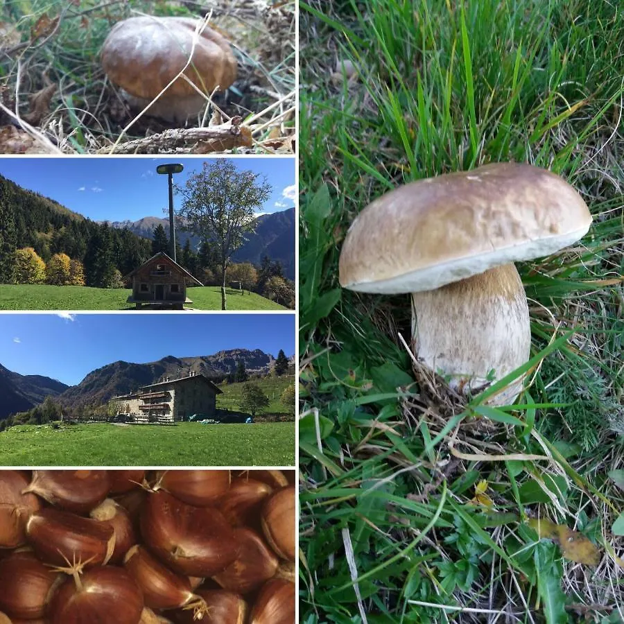 Agriturismo Ca' di Racc Gromo