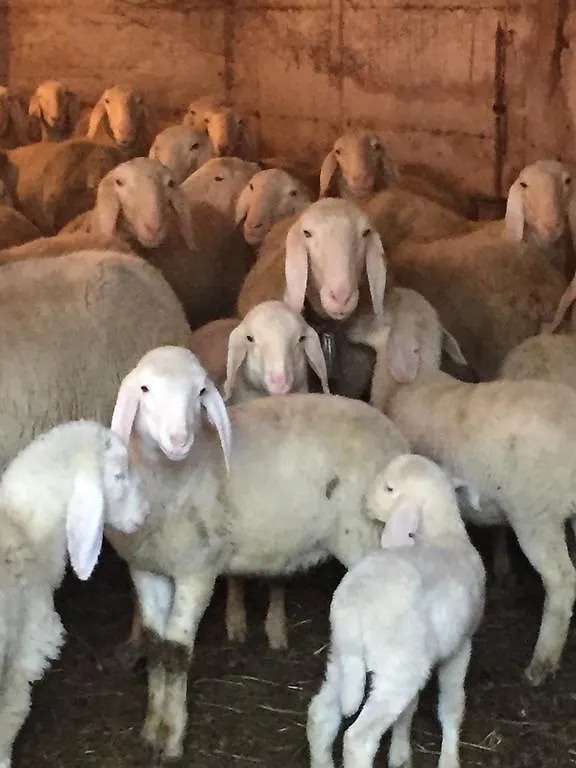 Agriturismo Ca' Di Racc Gromo